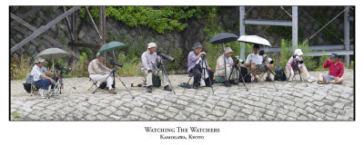 Watching the watchers