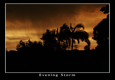 Evening Storm