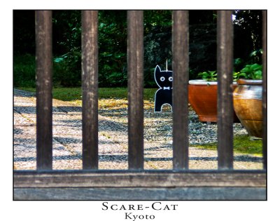 Scare Cat