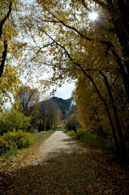 Nature Trail.JPG