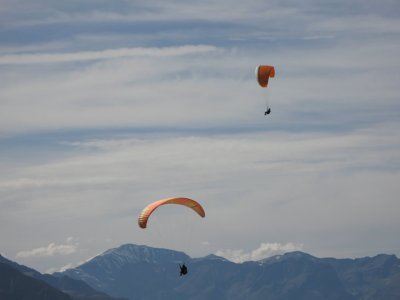 IMG_0362.jpg