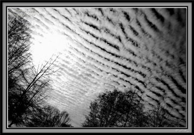 Cloudy Sea Waves