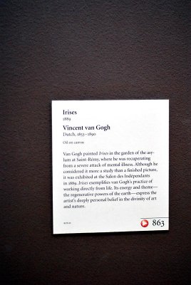 About  Irises by Van Gogh