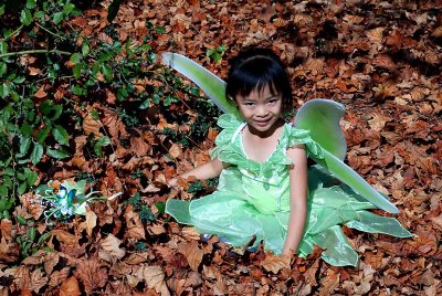 Pixie (Tinker Bell) in the Maple leaves