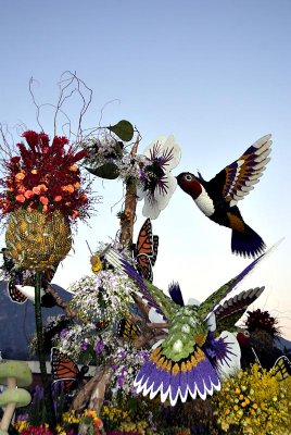 Tournament of Roses 2007