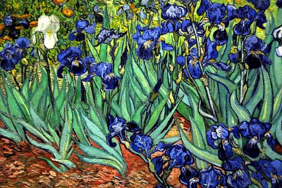 irises by Vincent Van Gogh (The Original)