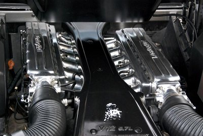Lamborghini V12 Engine