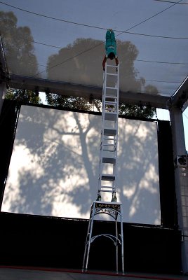 Peking Acrobats