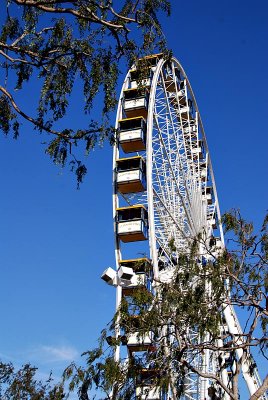 g6/26/12626/3/82346392.M78kv1Vq.jpg