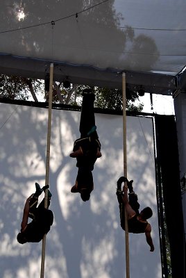 Peking Acrobats