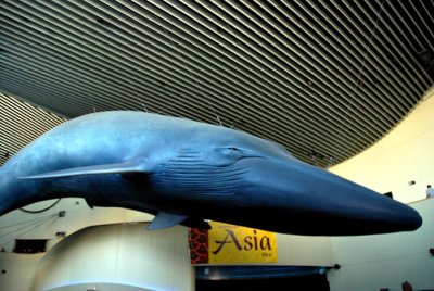 South East Asia Day at the Aquarium of the Pacific