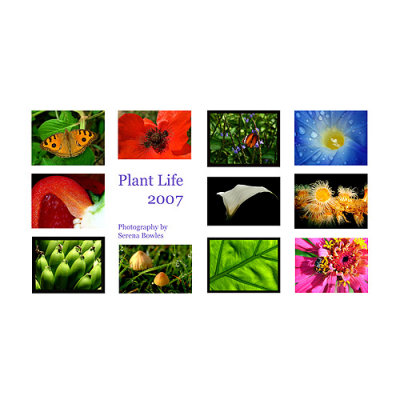 2010 Plant Life Calendar