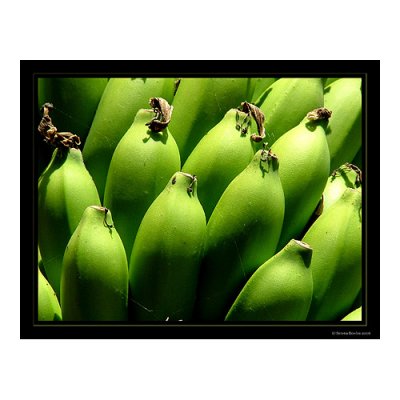 April - Green Bananas