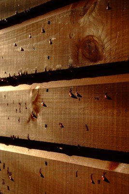 On the Shed