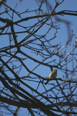 Any Ideas?