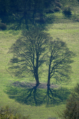 Two Halves