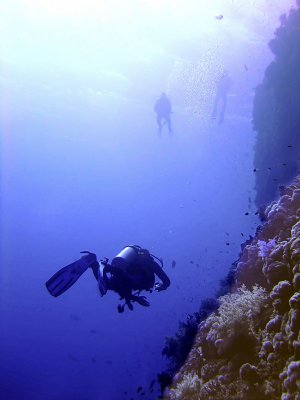 Divers Diving