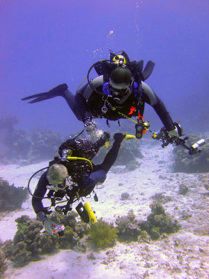 Double-Decker Divers
