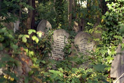 Overgrown Graves