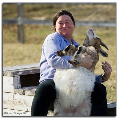 Goat_D2X_3183.jpg