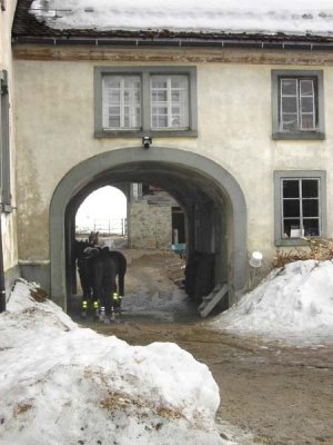 Ecuries sous la neige