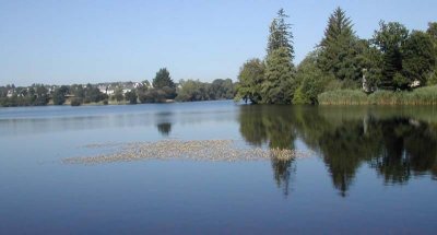 reflets_10.jpg