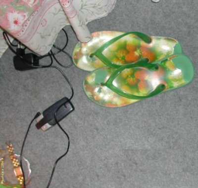 Les vertes de Claires