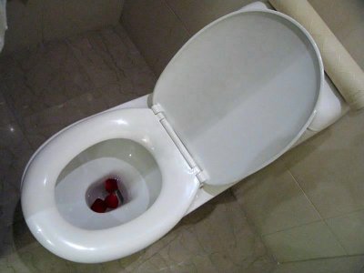 Rose petals in the toilet!