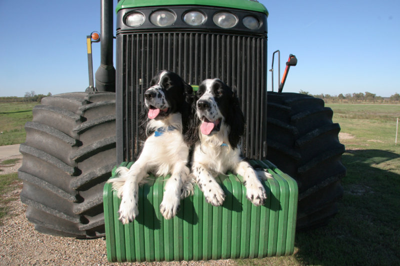 Playing on the big tractor...