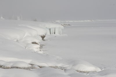 Yellowstone Lake shoreline