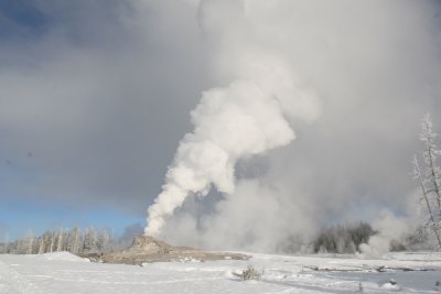 Castle Geyser in its steam phase after an eruption