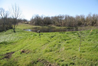 The pond by the driveway entrance after it filled up