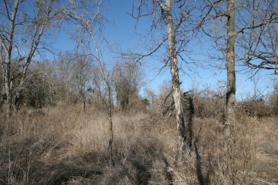 The lot looking to the west before being cleared