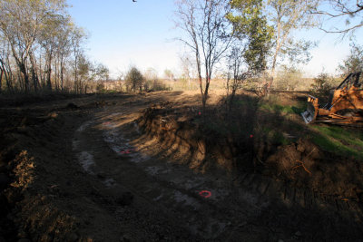 Clearing the driveway