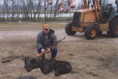 Shane with 3 of the hogs