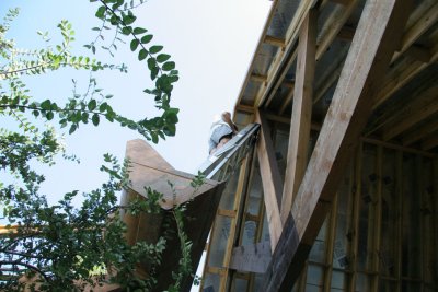 Staining the front gable with the help of the backhoe and a 10' ladder