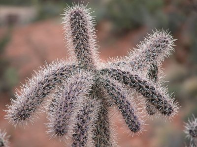 SE06_231_1.jpg