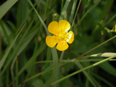 FridayH07_1098.JPG