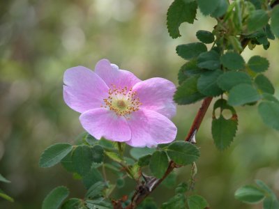 FridayH07_1099.JPG