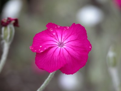 FridayH07_2073.JPG
