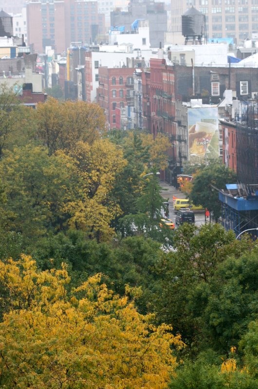 Downtown View