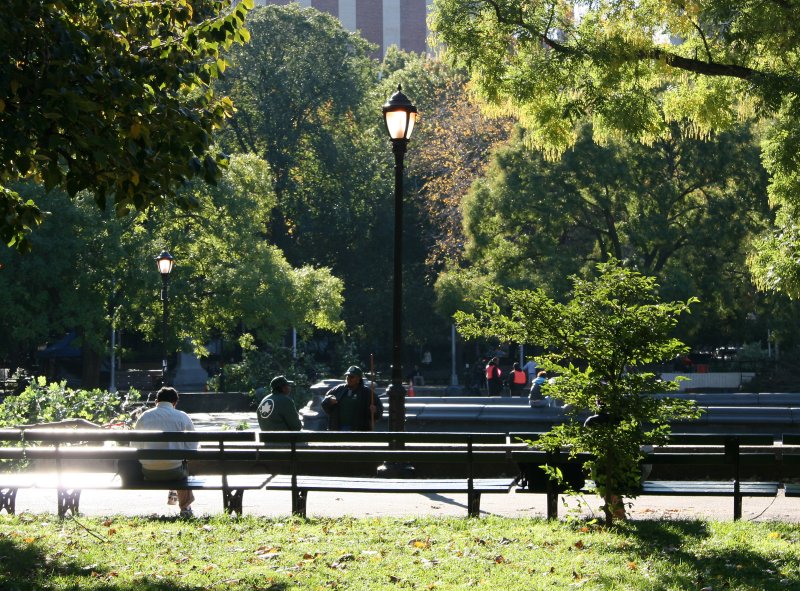 A Place in the Sun