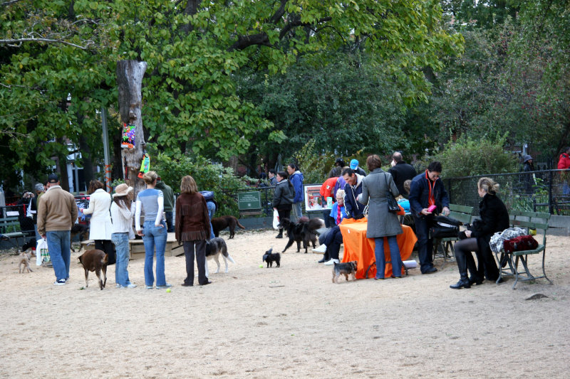 Halloween Party at the Dog Run
