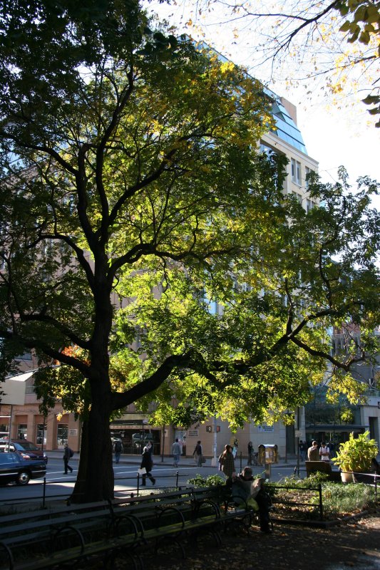 NYU Student Center