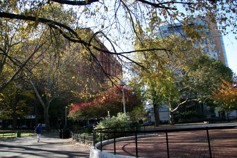 Performance Stage, NYU Library & Student Center