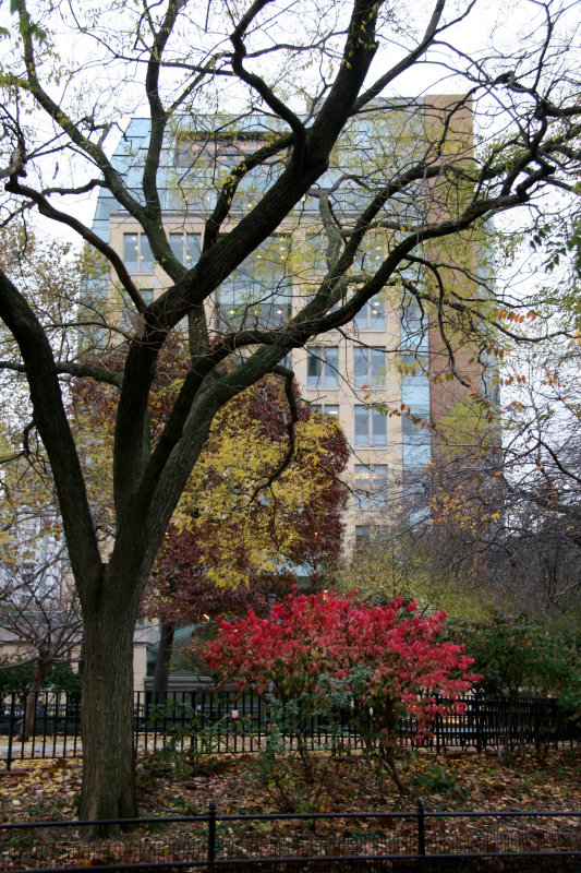 NYU Student Center