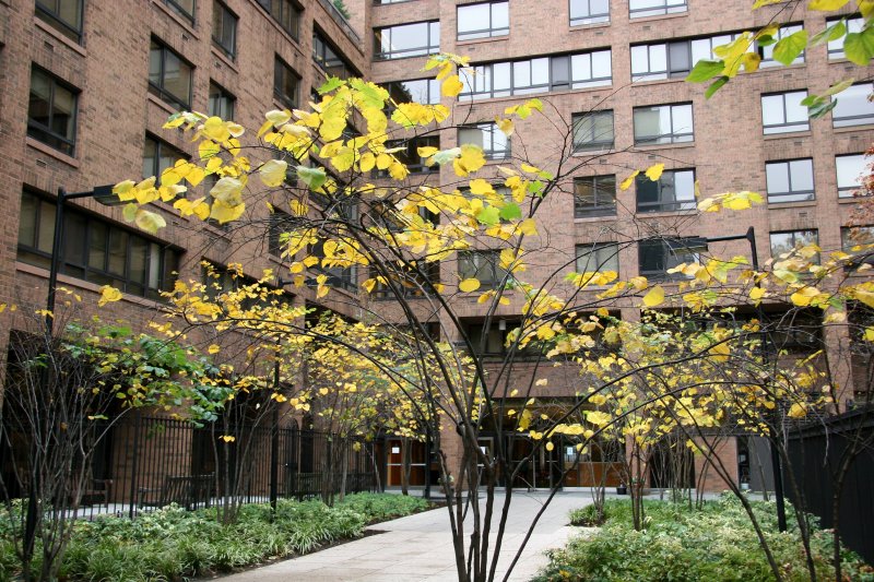 NYU Law School Residence Entrance