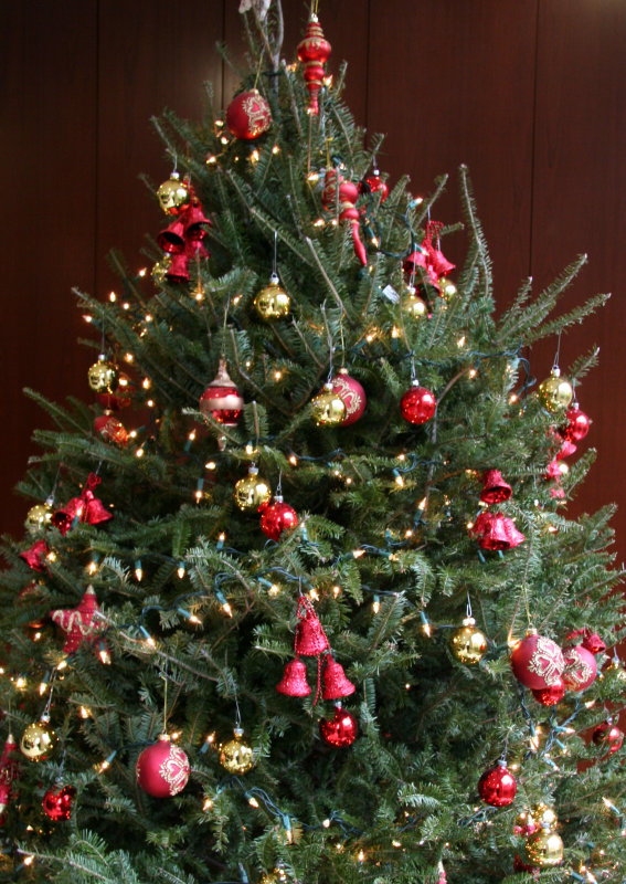 Christmas Tree - NYU Residence Lobby