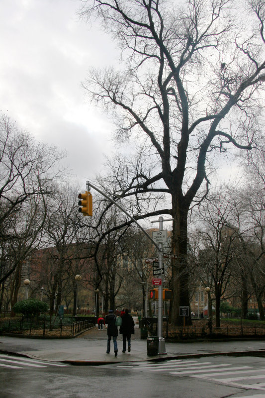 Northwest Corner with Hangmans Tree View