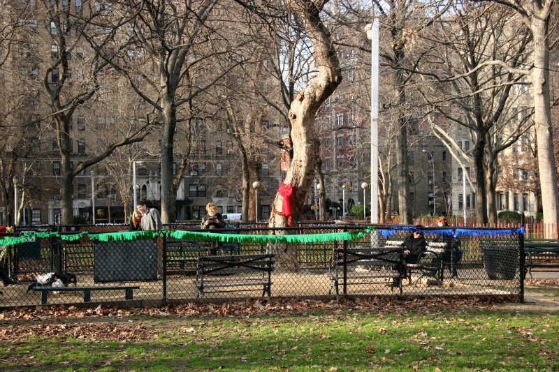 Small Dog Run with Holiday Decorations